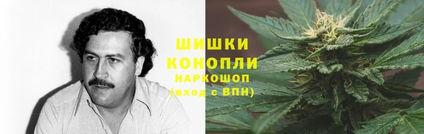 СК Новодвинск