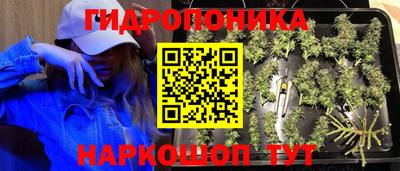 сатива Дубна