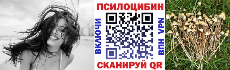 Галлюциногенные грибы Psilocybe Янаул