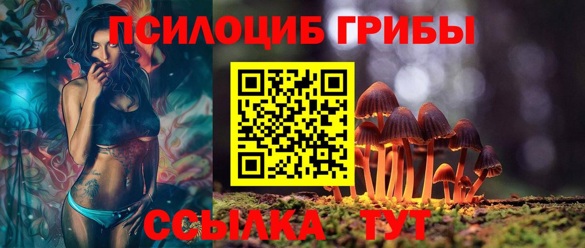 Янаул  Галлюциногенные грибы Magic Shrooms  Вход с VPN  Галлюциногенные грибы Psilocybine cubensis 